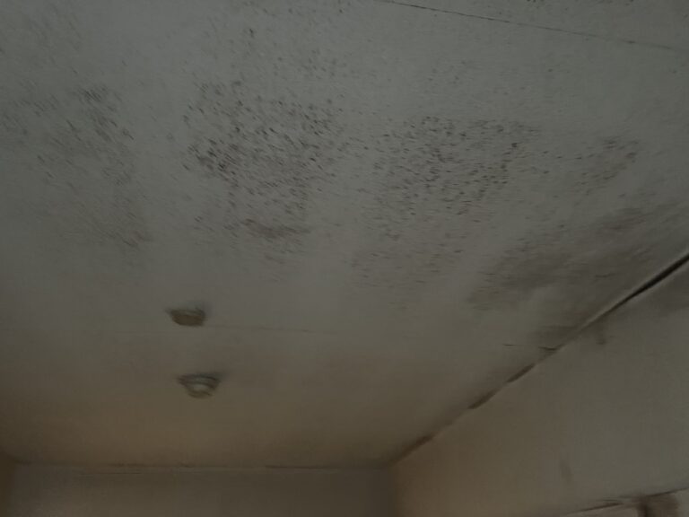 大阪の古いマンションの湿気問題を徹底解説！空気質とアレルギー対策ガイド