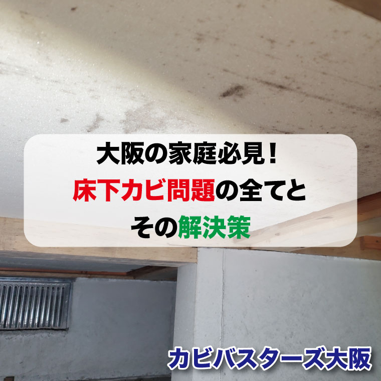 大阪の家庭必見！床下カビ問題の全てとその解決策