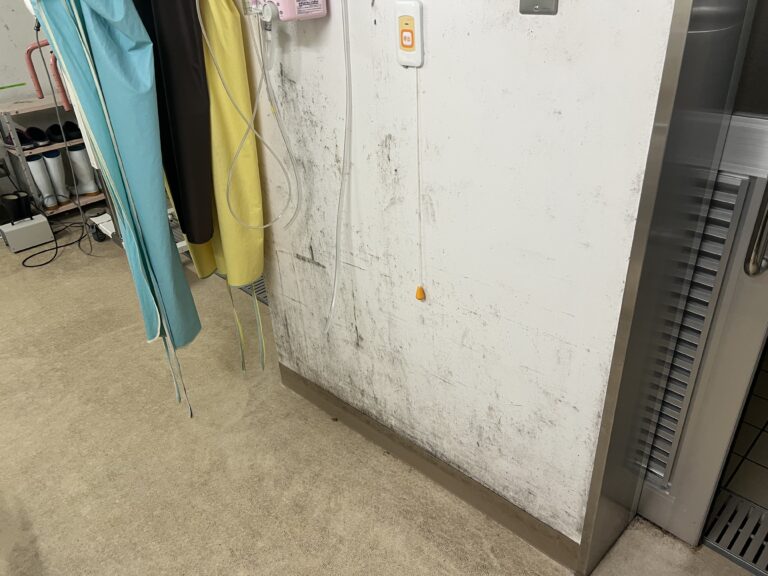 漏水後の乾燥不足が危険！スラブ内部のカビ菌と正しい対策とは