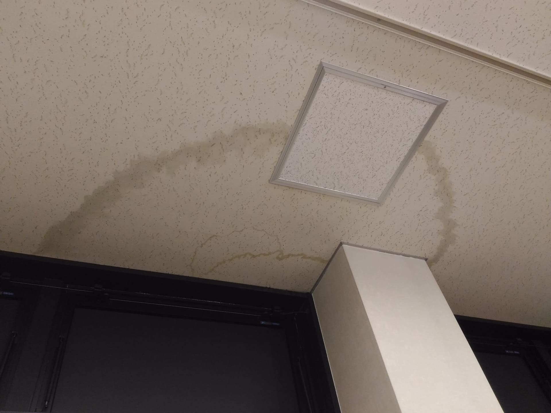 漏水した家はなぜカビが再発する？原因調査からリフォーム復旧まで解説