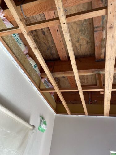 全館空調のカビ対策完全ガイド｜換気不足・温度管理ミスが建物を蝕む理由
