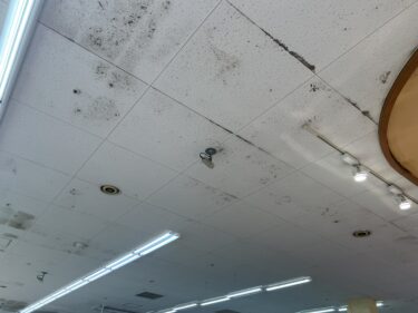 病院・介護施設の空調カビ対策｜換気システムと空気感染リスクを徹底解説