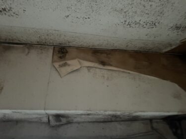 見えないカビを見逃すな！吹田市での漏水・雨漏れ後に必須のカビ対策と再発