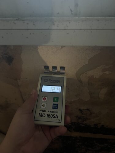 雨漏れ・漏水カビはこうして防ぐ！大阪のプロが教える再発しないカビ対策