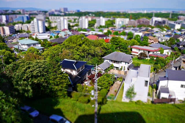 高級住宅地で外国人居住者が抱えるカビ問題