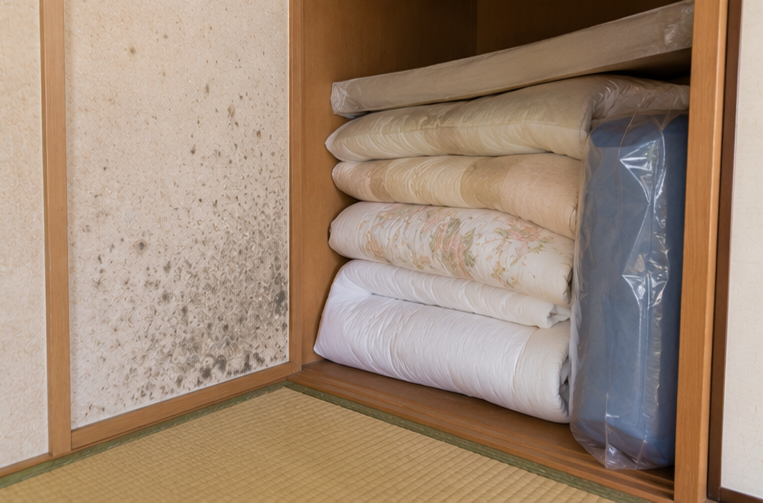 根深いカビに悩む人へ原因別の対処と予防策