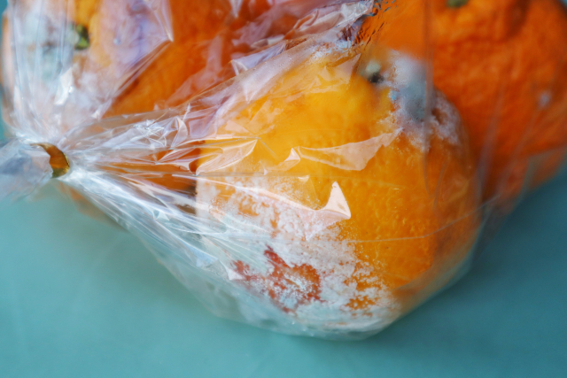 食品のカビを防ぐ正しい保存と対策方法
