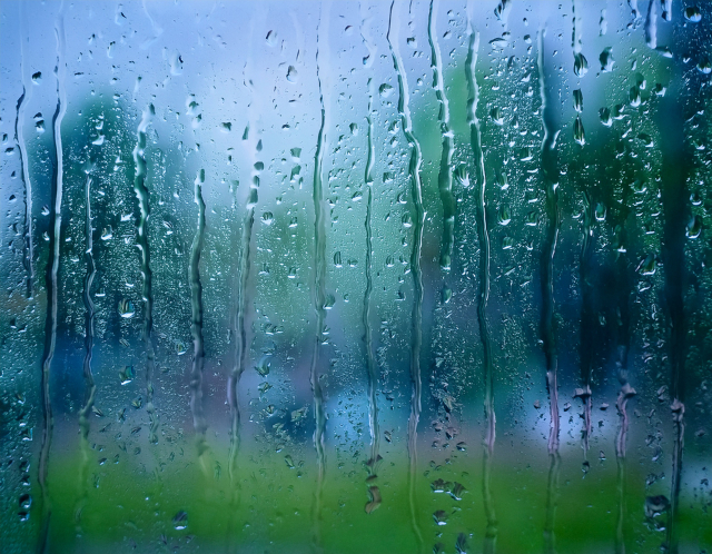 梅雨明け直後に注意したい室内湿気とカビ対策
