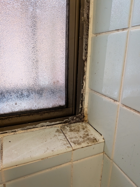 床下・小屋裏・水回りの全方位カビ対策
