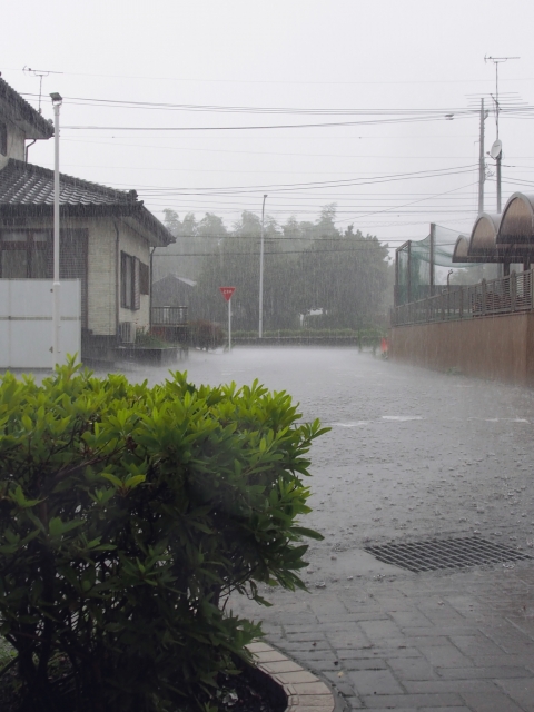 大雨の床下浸水・雨漏りカビ対策とリフォーム