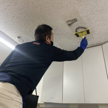 老人ホームで浴室が真っ黒に… カビ放置が引き起こす重大リスクとその対処法