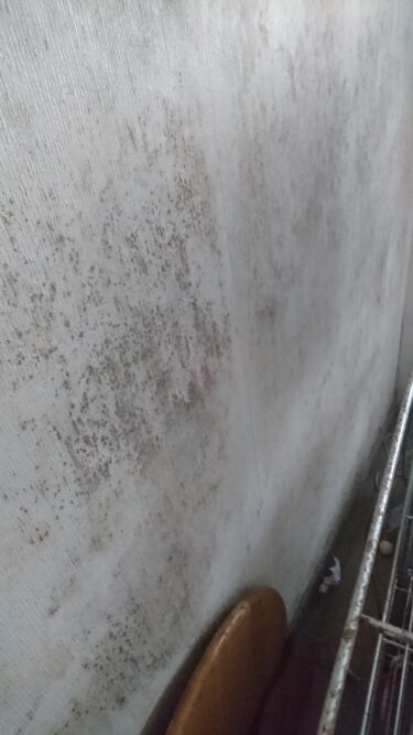 【施工事例】奈良県天理市　事務所内の壁のカビ・カビ取り・除カビ・防カビ施工