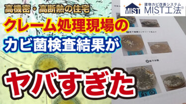 【進め！カビバスターズチャンネル】大阪のクレーム物件のカビ菌検査結果について聞いてきました【カビ取り・除カビ・防カビ】