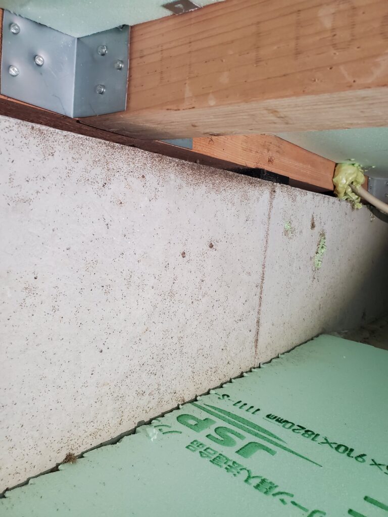 京都府京都市床下コンクリートのカビ取り