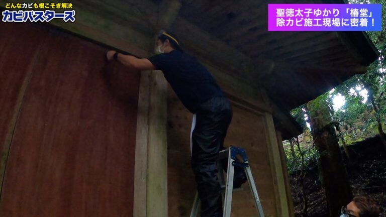 比叡山延暦寺カビバスターズ大阪施工中