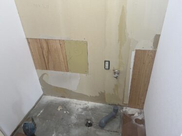 免疫力低下とカビ被害の関係性とは？