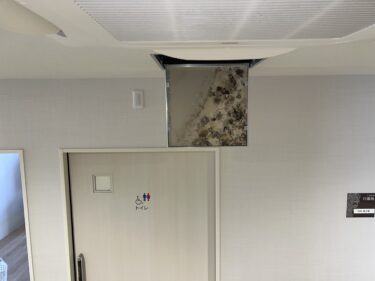 カビが住宅価値を下げる？高級住宅・大使館のカビ対策とは