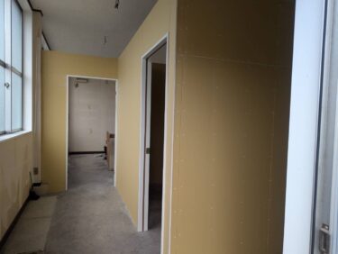 Why Unseen Mold Reduces Home Values