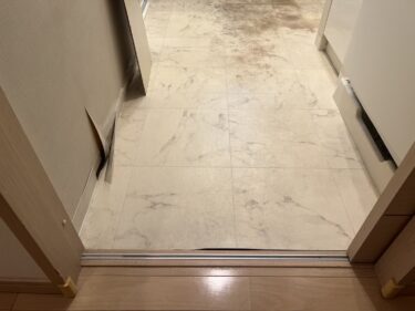 Mold Threat in Luxury Homes and What to Do About It