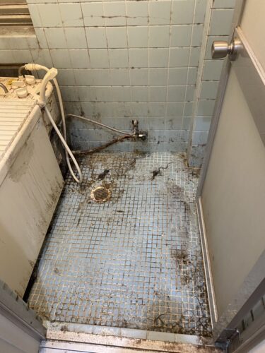 「梅雨〜雨後に効く！建築現場＆住宅の湿気カビ対策完全ガイド