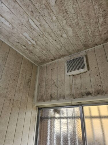 関西・大阪で実践！カビ知らずの快適生活5ステップ【専門解説】」