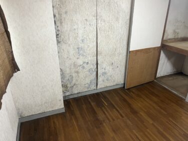 引き渡し前でも安心！MIST工法によるカビ検査＆防カビ対策