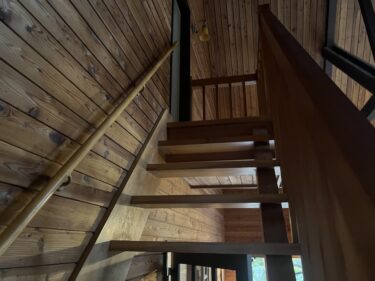 Increasing Mold Problems in Luxury Homes: Examples and Expert Advice