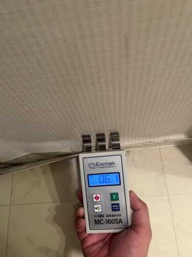 カビ苦情が急増中！工務店が知っておくべき対応事例と改善策