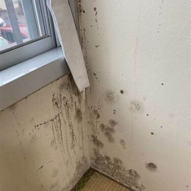 Mold removal and remodeling at the same time! A one-stop solution for a comfortable home!