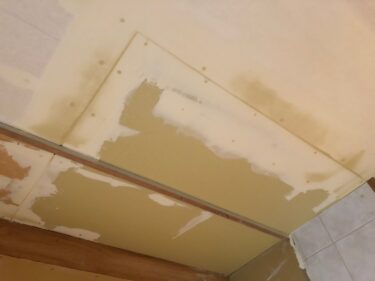 How to prevent “house mold” that causes pneumonia and asthma in wealthy homes