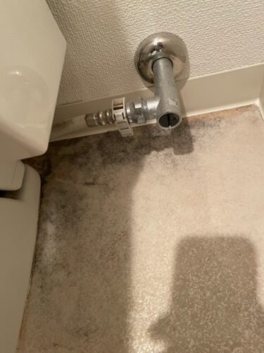 Mold damage prevention guide for luxury homes: Could your property value be declining without you realizing it?