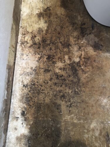 「マンションの漏水でカビに困っている方へ｜正しい対処と再発防止ガイド」