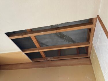 Complete Guide to Preventing Water Leaks: From Exterior Wall Cracks to Mold Control