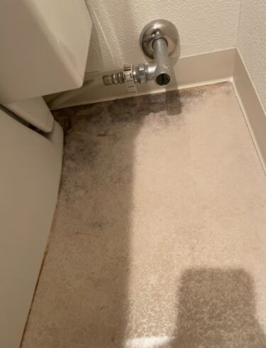 “What is the mold problem in embassy housing? A thorough explanation of the health hazards and countermeasures”