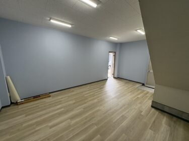 雨漏り・断熱不良がもたらすカビ被害と法的責任を徹底解説