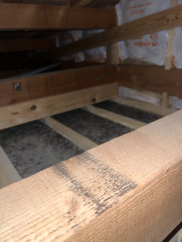 What’s That Mold Smell in Diplomatic Housing? Causes and Solutions Explained