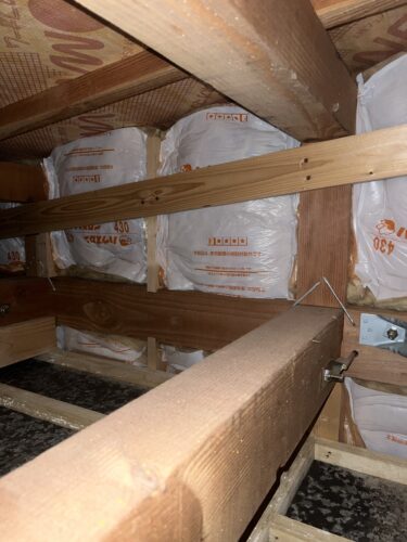 Complete Mold Prevention Guide: From Bathrooms to Kitchens and Accommodation Facilities