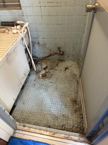 漏水・結露でカビ発生…火災保険＆建築会社対応ガイド