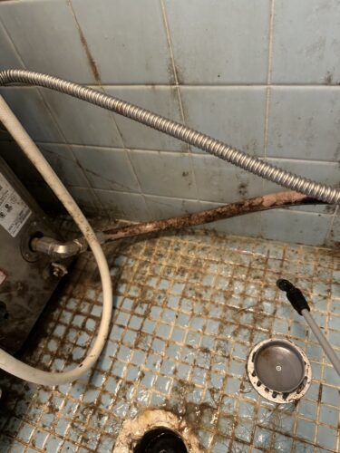 冬でも安心！浴室カビを断つ“原因・掃除・予防”完全ガイド