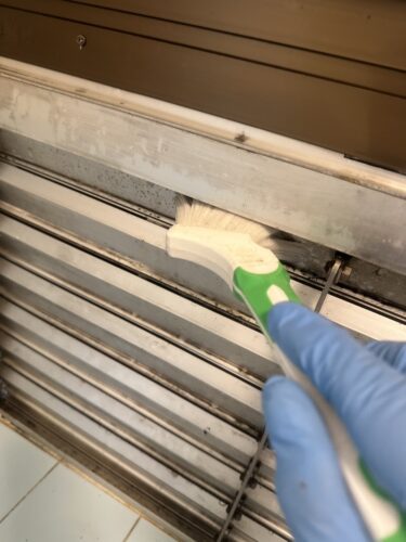 Why Mold Grows in Government Lodgings: A Deep Dive into Wood Moisture, Poor Ventilation, and MIST Method