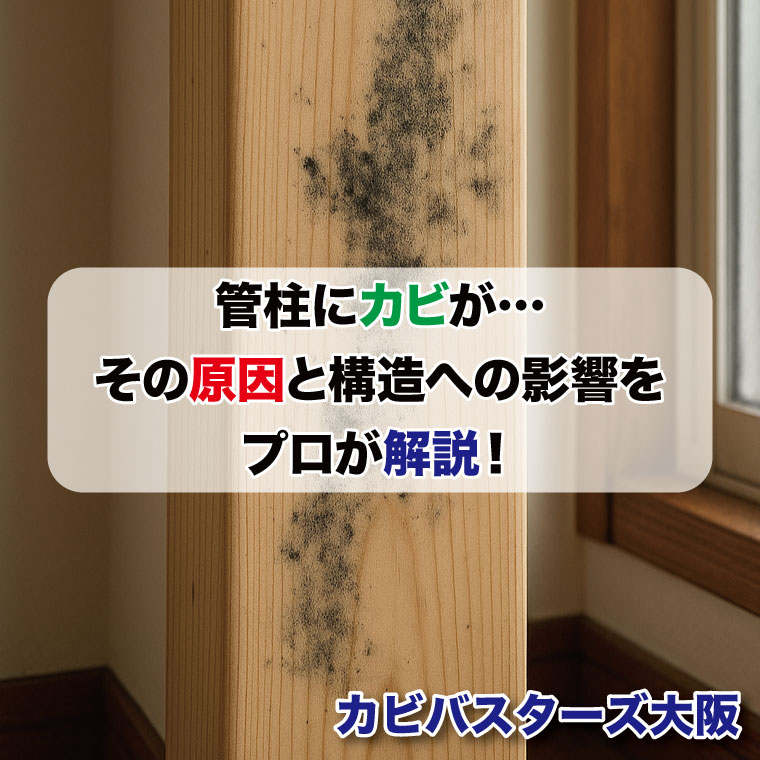 管柱にカビが…その原因と構造への影響をプロが解説！はカビバスターズ大阪