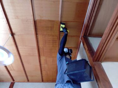 中古マンションで漏水が…カビによる咳が止まらないときに読む健康被害と対策
