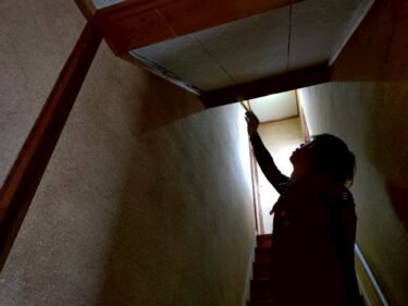 医療施設での天井裏カビ完全ガイド：原因・除去方法・予防策まで一挙解説