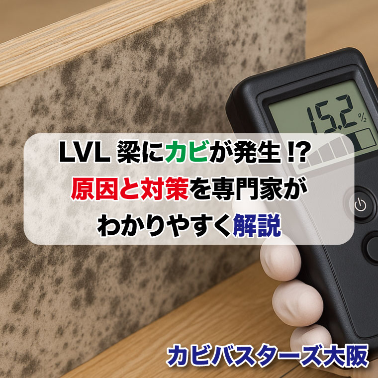 LVL梁にカビが発生!? 原因と対策を専門家がわかりやすく解説はカビバスターズ大阪