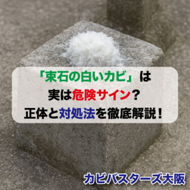 「束石の白いカビ」は実は危険サイン？正体と対処法を徹底解説！針状結晶かも