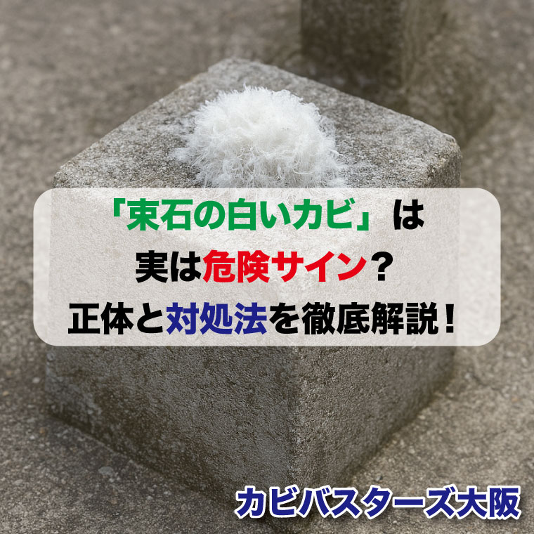 「束石の白いカビ」は実は危険サイン？正体と対処法を徹底解説！針状結晶かもはカビバスターズ大阪