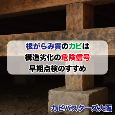 根がらみ貫のカビは構造劣化の危険信号—早期点検のすすめ