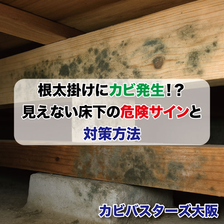 根太掛けにカビ発生！？見えない床下の危険サインと対策方法はカビバスターズ大阪