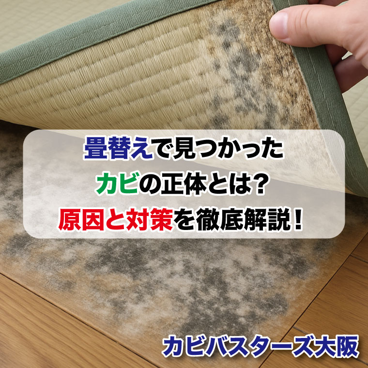 畳替えで見つかったカビの正体とは？原因と対策を徹底解説！はカビバスターズ大阪