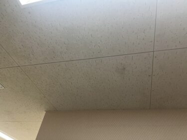 漏水からカビ再発へ…“配管・シーリング劣化”を防ぐための完全ガイド